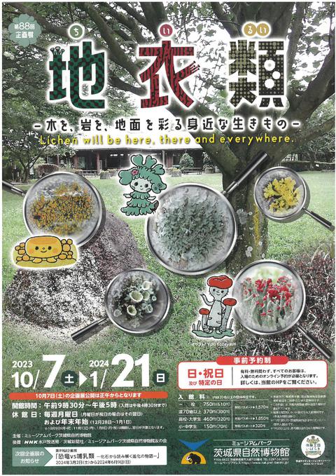茨城県自然博物館にて弊社社有林の苔が展示されています。